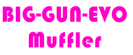 BIG-GUN-EVO Muffler 