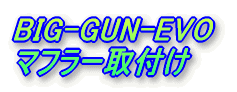 BIG-GUN-EVO }t[t